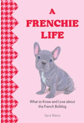 A FRENCHIE LIFE : WHAT TO KNOW AND LOVE ABOUT THE FRENCH BULLDOG